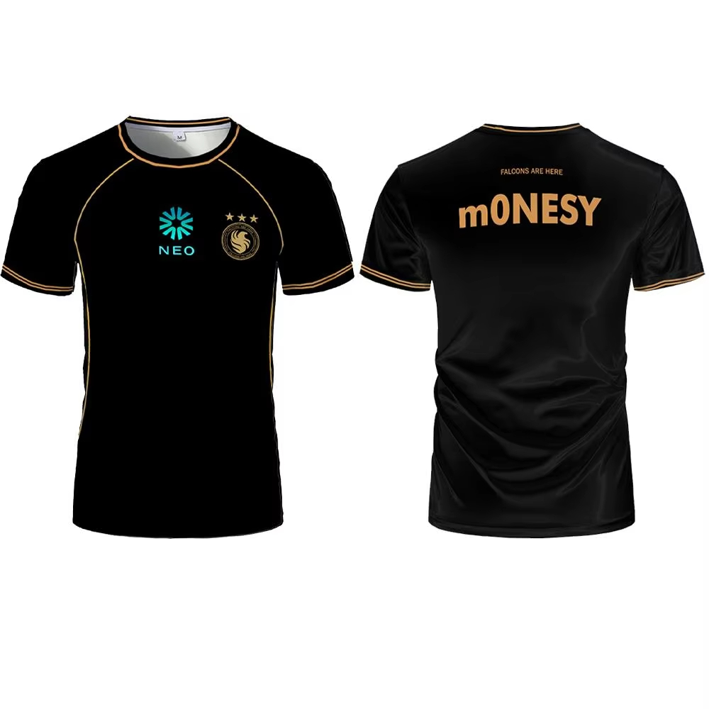 Maglie da Allenamento Team Fal - Esports Gaming Team recensione e prezzo